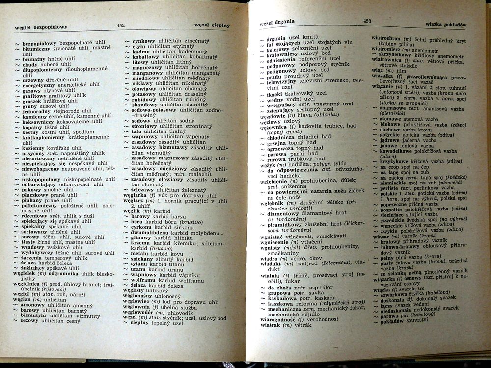 Dictionnaire technique Polonais - Tch&egrave;que Livres et BD