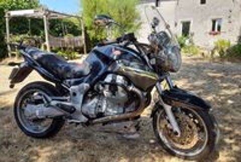 MOTO GUZZI 2009 occasion 79450 Saint-Aubin-le-Cloud