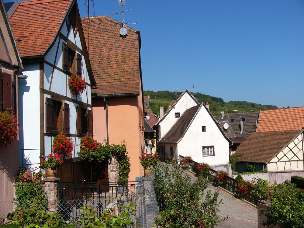   Gte en Alsace prs de Colmar, Eguisheim, Kaysersberg  Alsace, Gueberschwihr (68420)