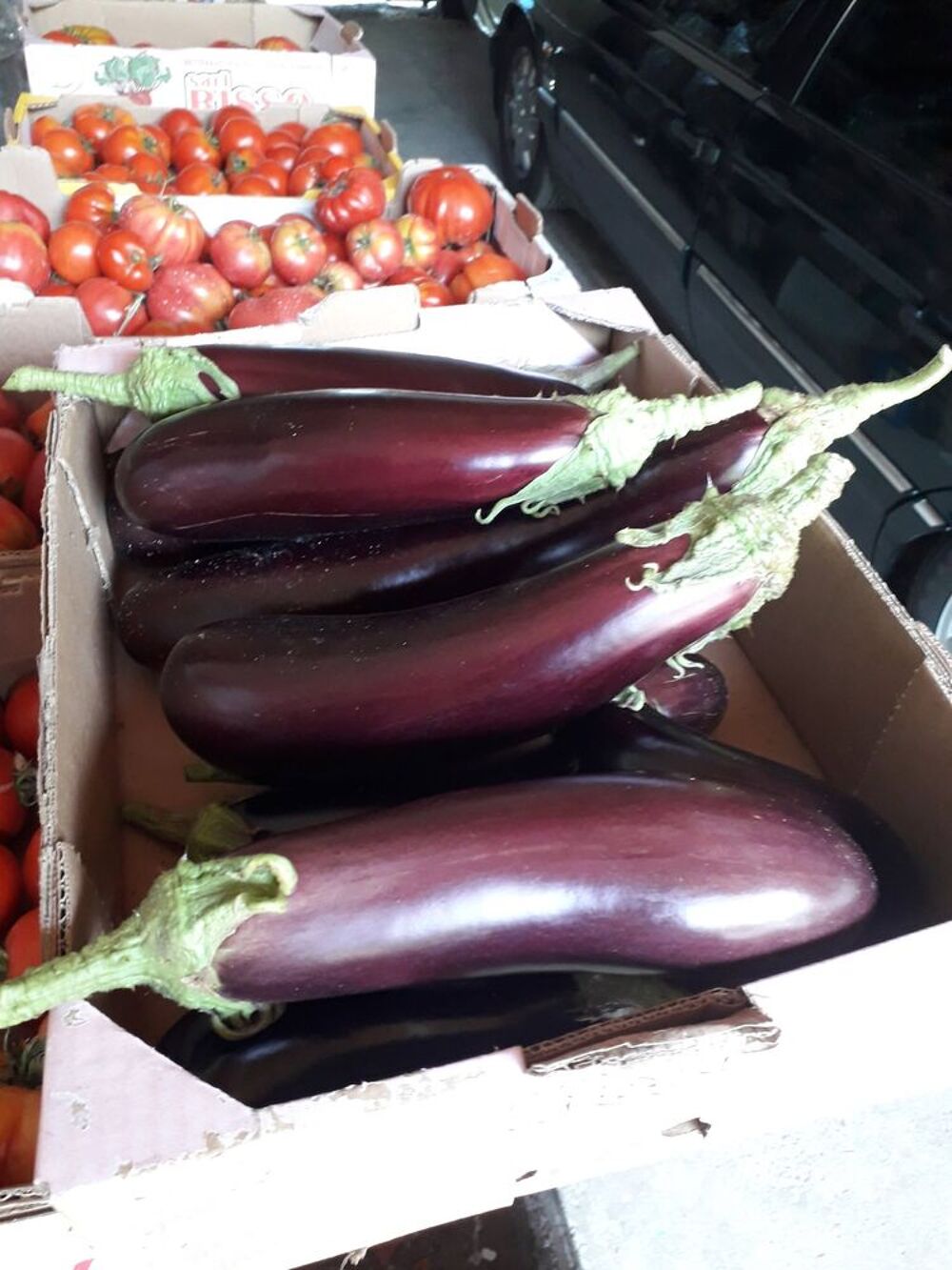Aubergines violettes de mon potager Jardin