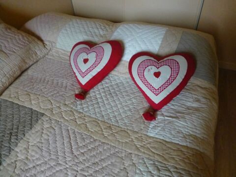 Coussins coeur 25 Saint-Genis-Laval (69)