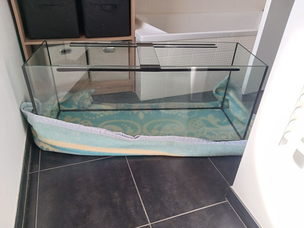 Aquarium XL Décoration