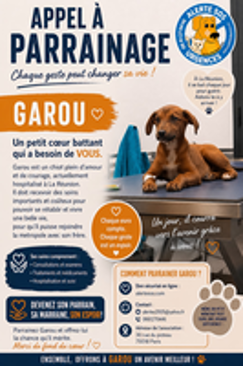   AIDER GAROU  