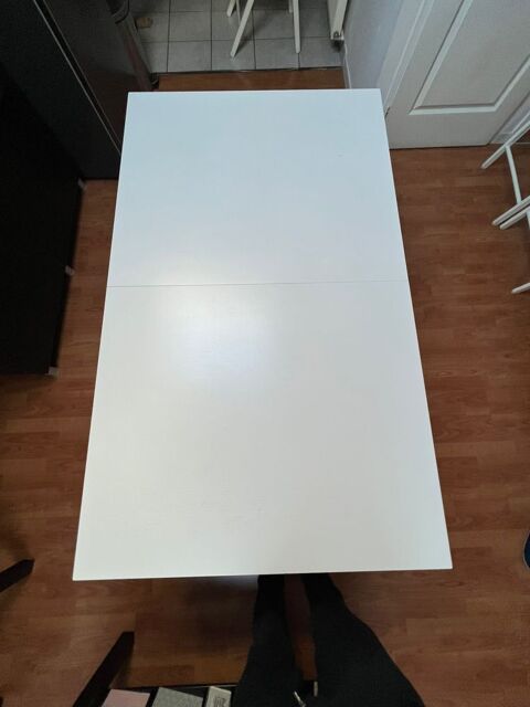 Table Ikea BJURSTA 90 Lyon 3 (69)