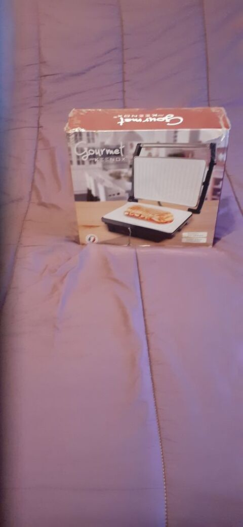 Grill  panini 25 Fleury-sur-Andelle (27)