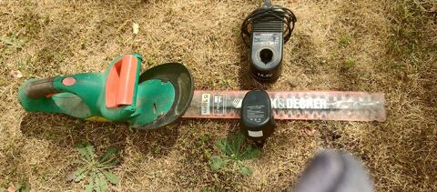 TAILLE HAIE A BATTERIE 18 L'Isle-Jourdain (86)
