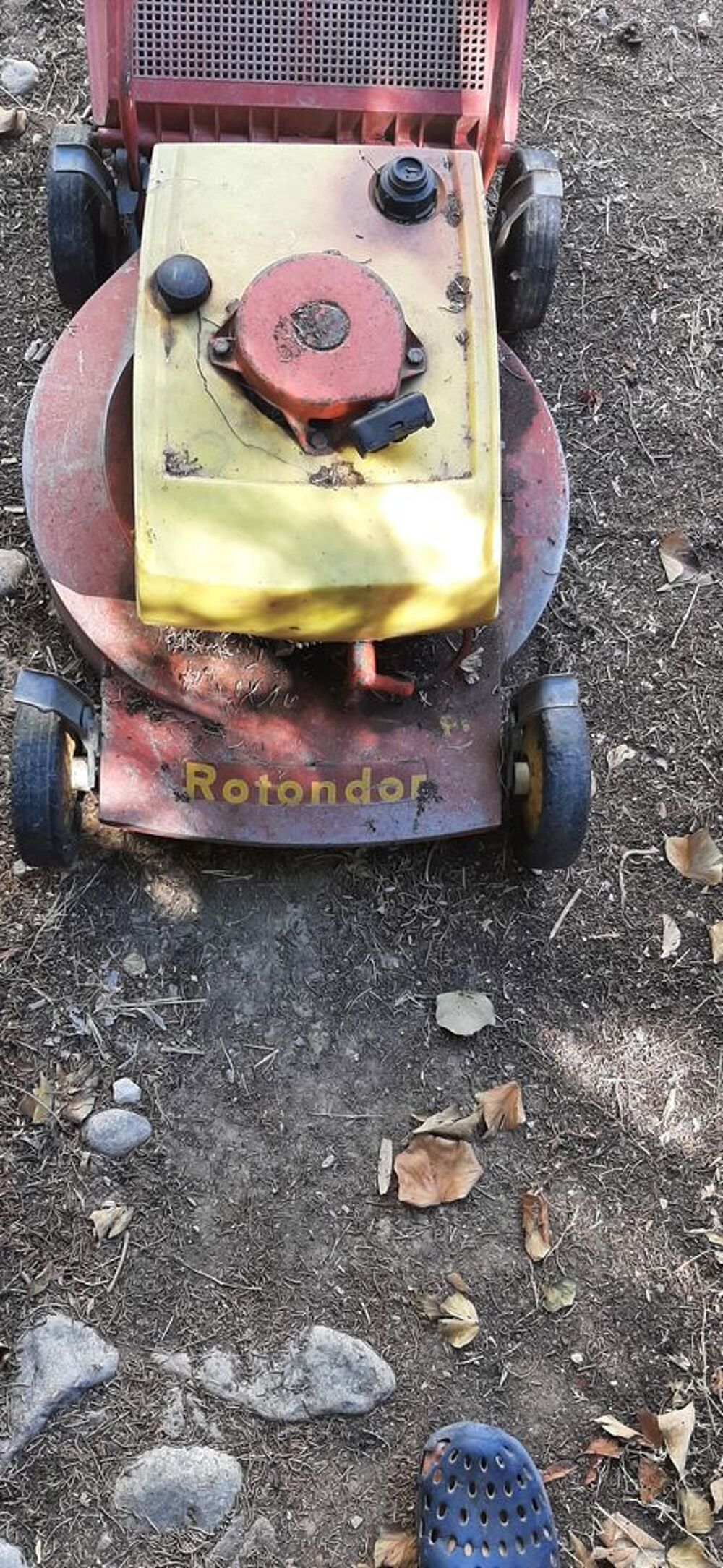 &Agrave; Bandol, , tondeuse gazon, thermique, Rotondor vintage Jardin