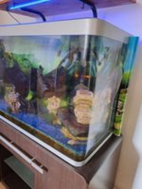   Aquarium 300 litres entièrement équipé
