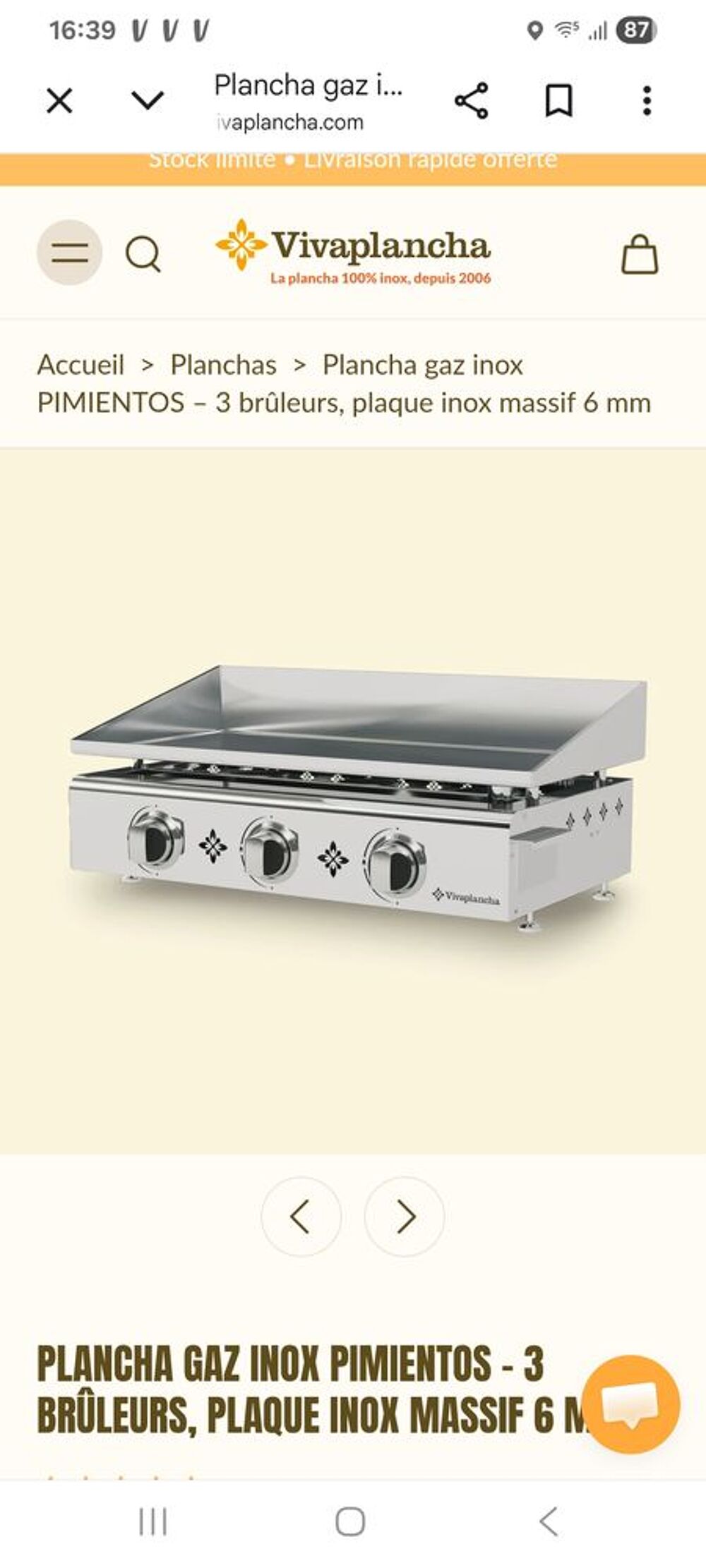 Plancha gaz 3 br&ucirc;leur en inox Electroménager