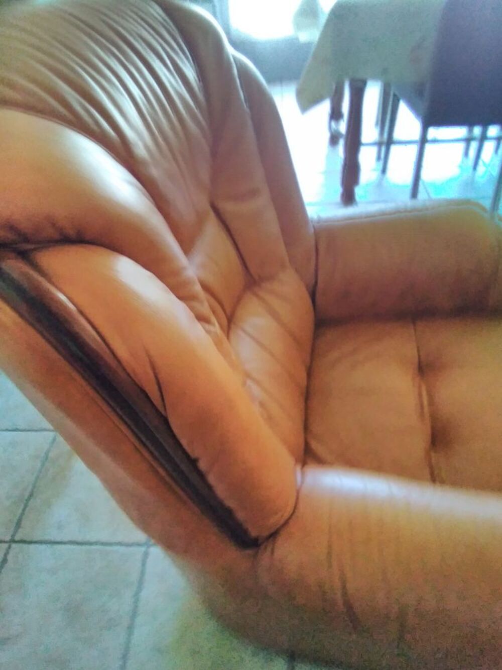 fauteuil tout cuir Meubles