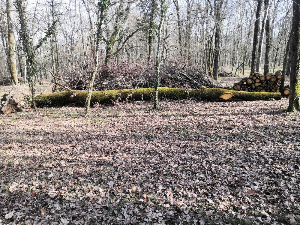 chene Jardin