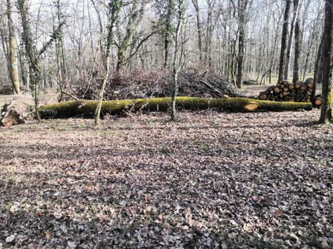 chene 0 Bertric-Bure (24)