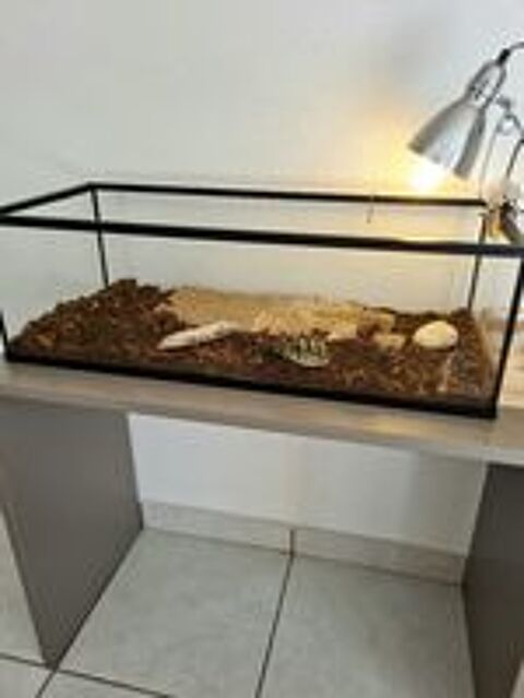   terrarium rectangulaire en verre transparent 