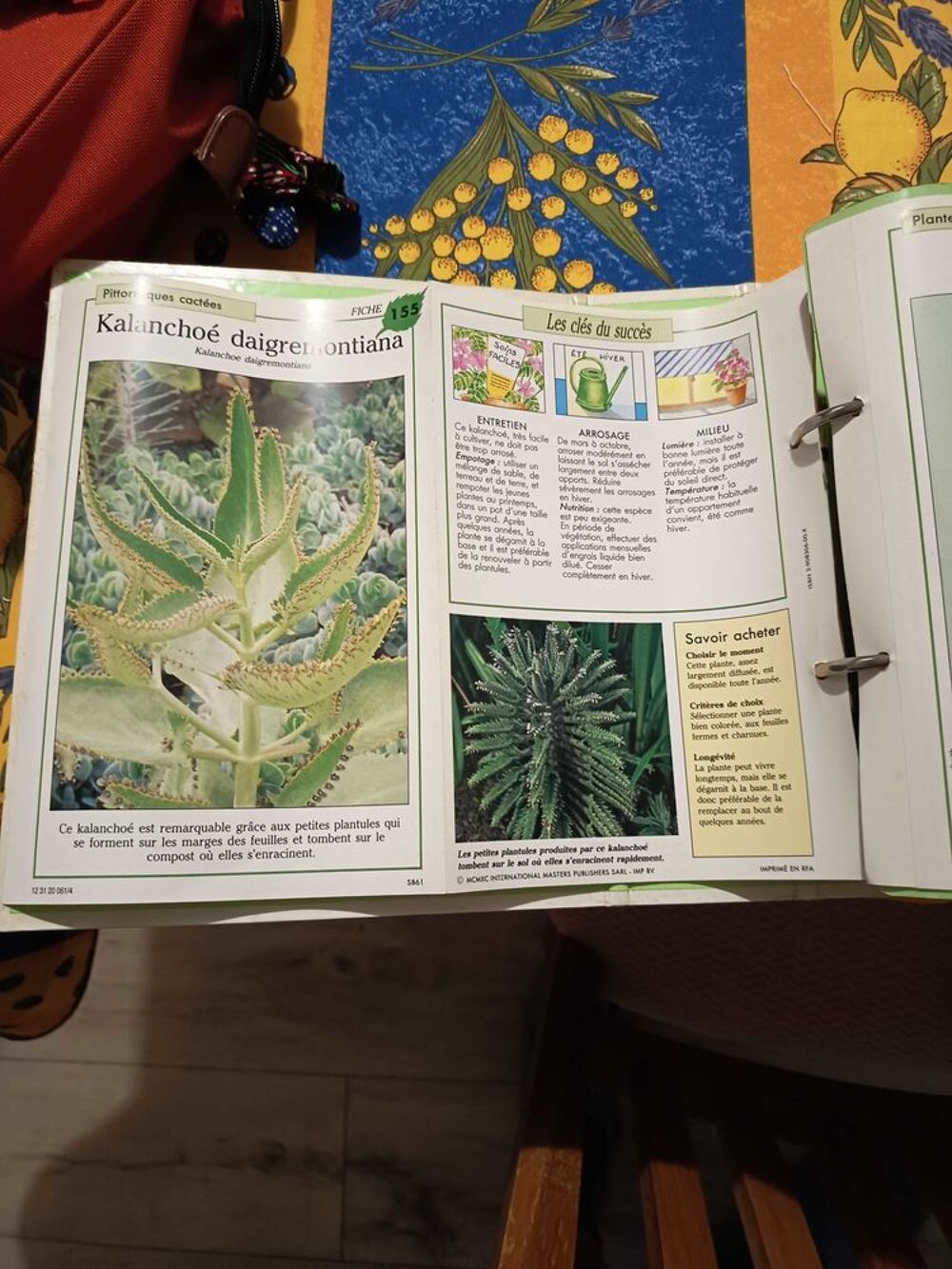 Livres sur la culture des plantes Livres et BD