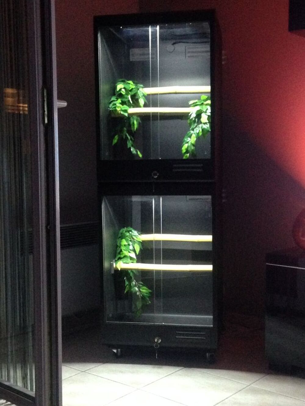   Terrarium reptiliumbox 