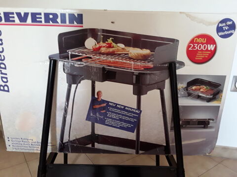 Barbecue lectrique 30 Istres (13)