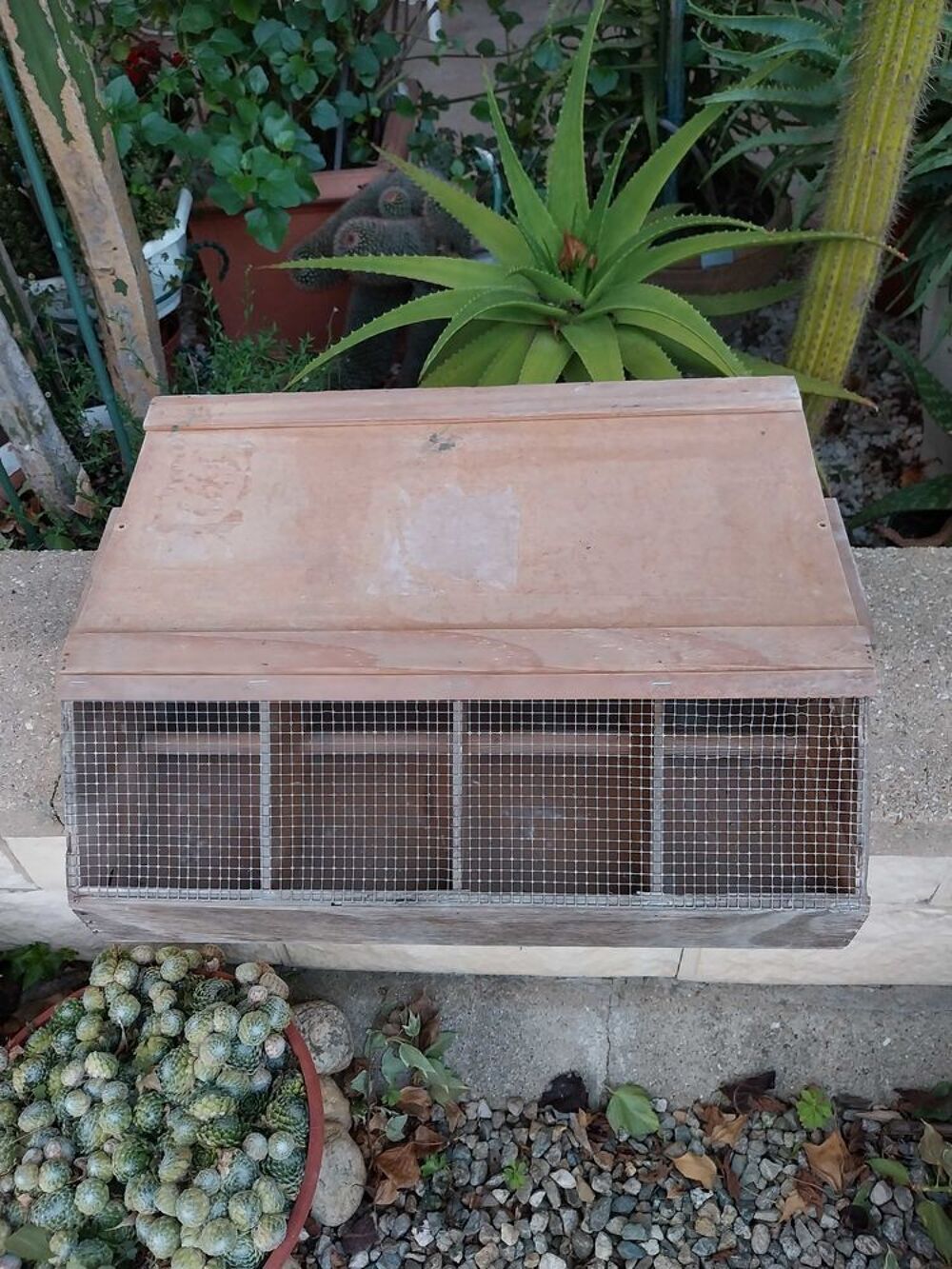 cage de transport pour animaux Bricolage