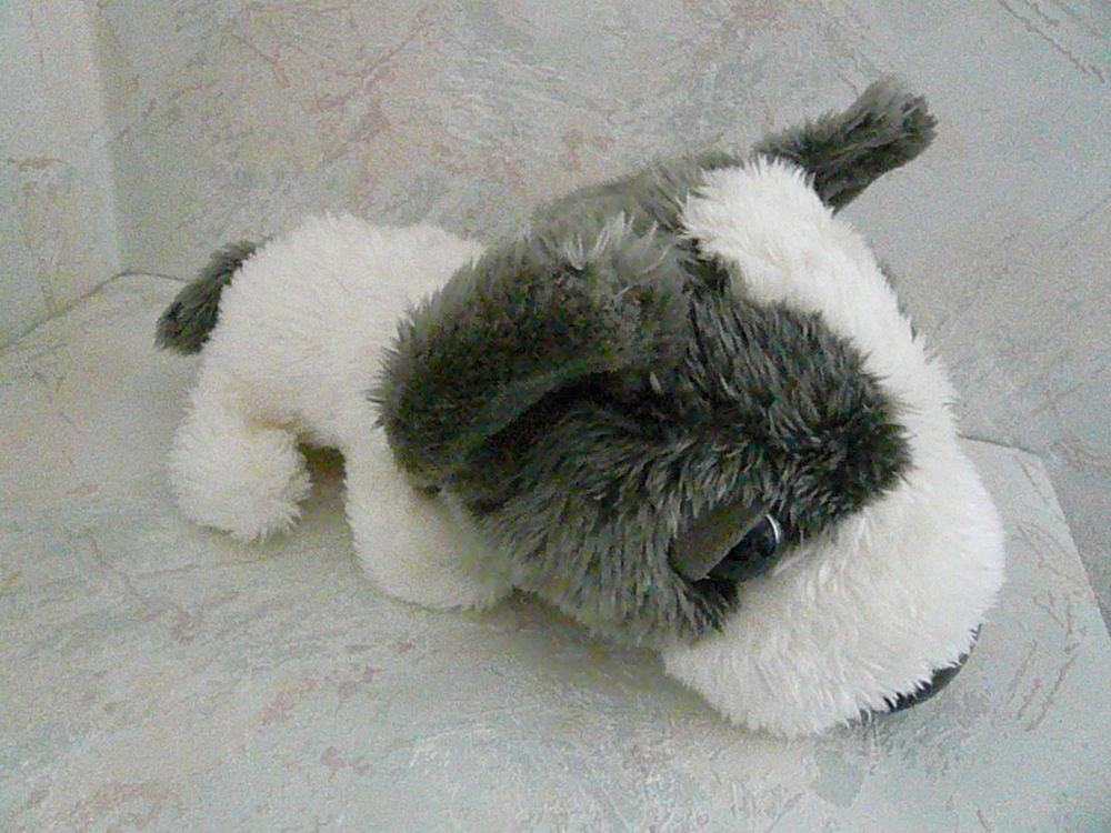 Peluche Big Headz " Epagneul papillon " Jeux / jouets