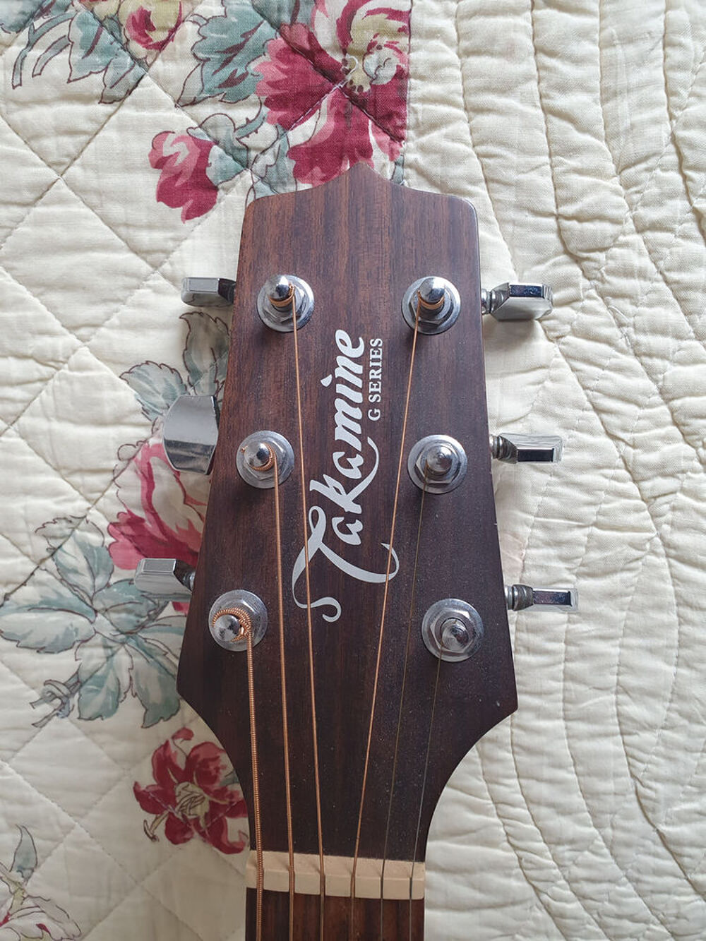 guitare Takamine avec housse de transport Instruments de musique