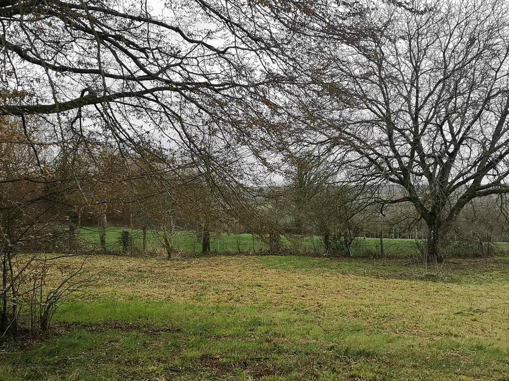 Vente Terrain Terrain de 2000 M2 viabilis et constructible. Neuville-sur-touques