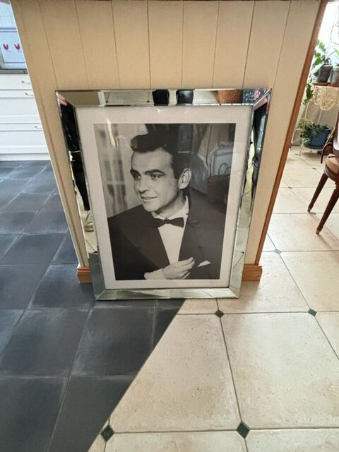 JAMES BOND 007 15 Saint-Georges-d'Orques (34)