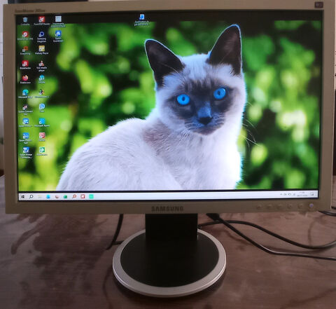 Écran d'ordinateur Samsung 20 Mons-en-Barœul (59)