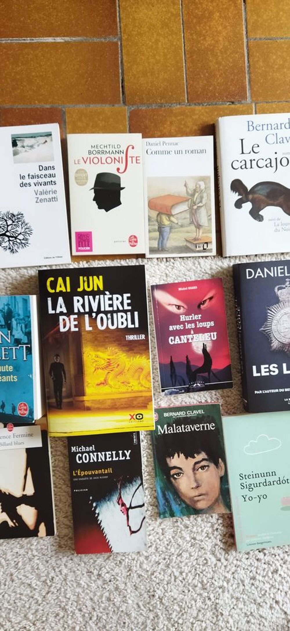 LIVRES DIVERS Livres et BD