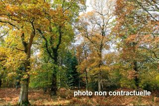  Terrain à vendre 7580 m²
