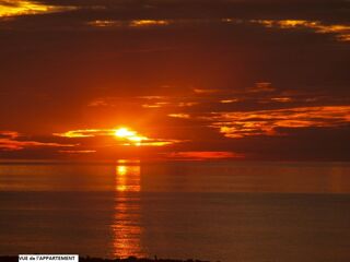 Location  Appartement 