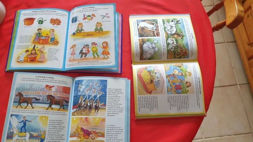 LOT 3 LIVRES l'IMAGERIE 
livres &eacute;ditions fleurus
Livres et BD