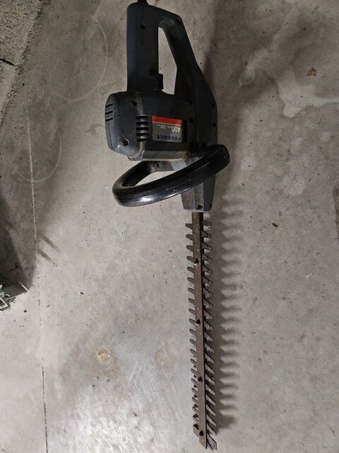 Taille haie 10 Mont�limar (26)