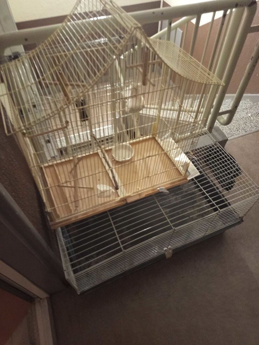 cage &agrave; oiseaux Jardin