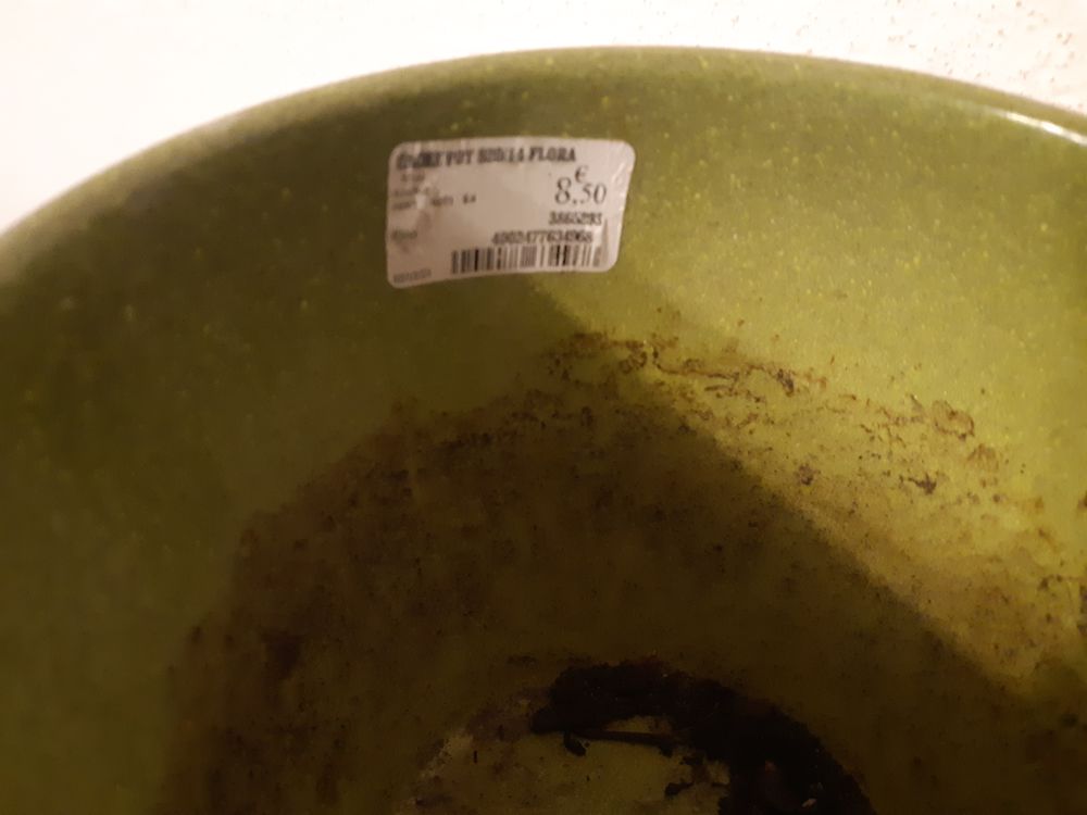 Cache pot ou pot de jardiland diam&egrave;tre 14cm vert et gris Jardin