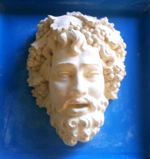 tete de bacchus 52 Courth�zon (84)