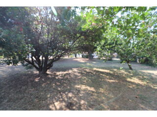  Terrain  vendre 815 m