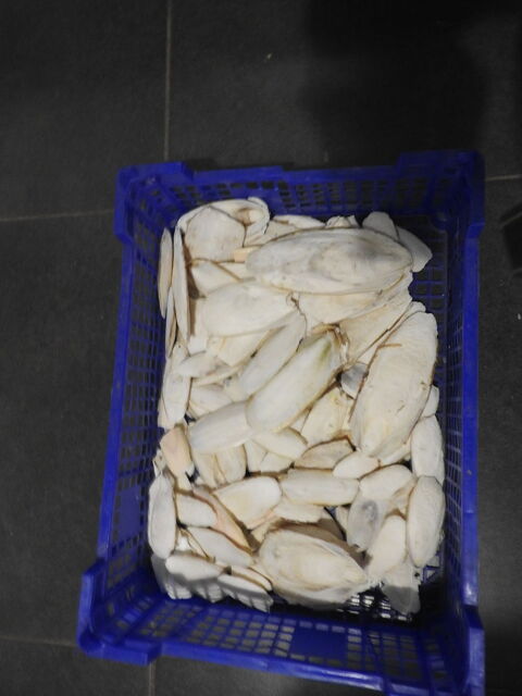 os de siche 1,5kgs 8 35410 Domloup