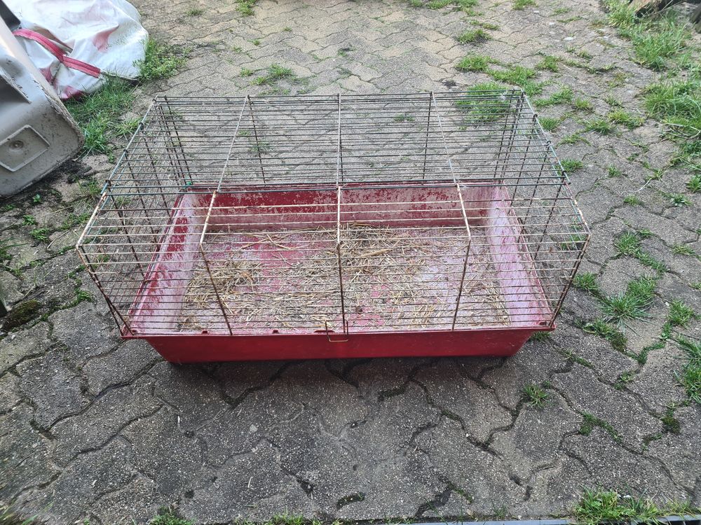   Cages volailles rongeur 