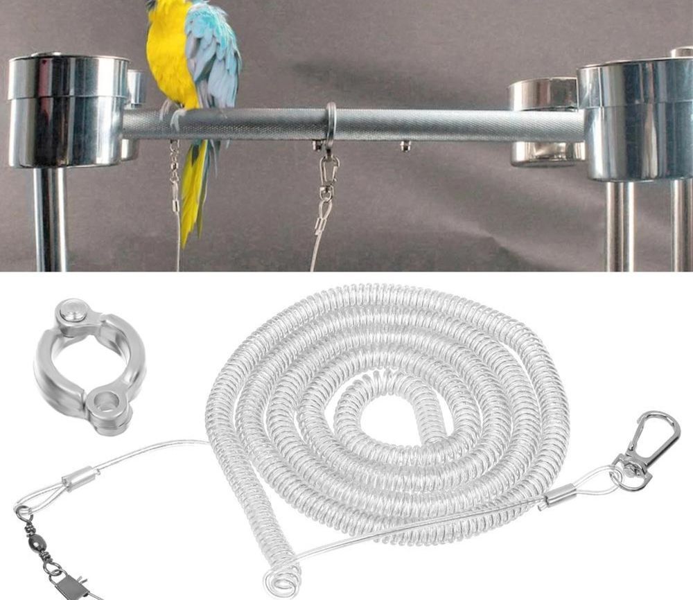   4 Harnais perruche calopsitte,autre oiseau ,anneau de patte 