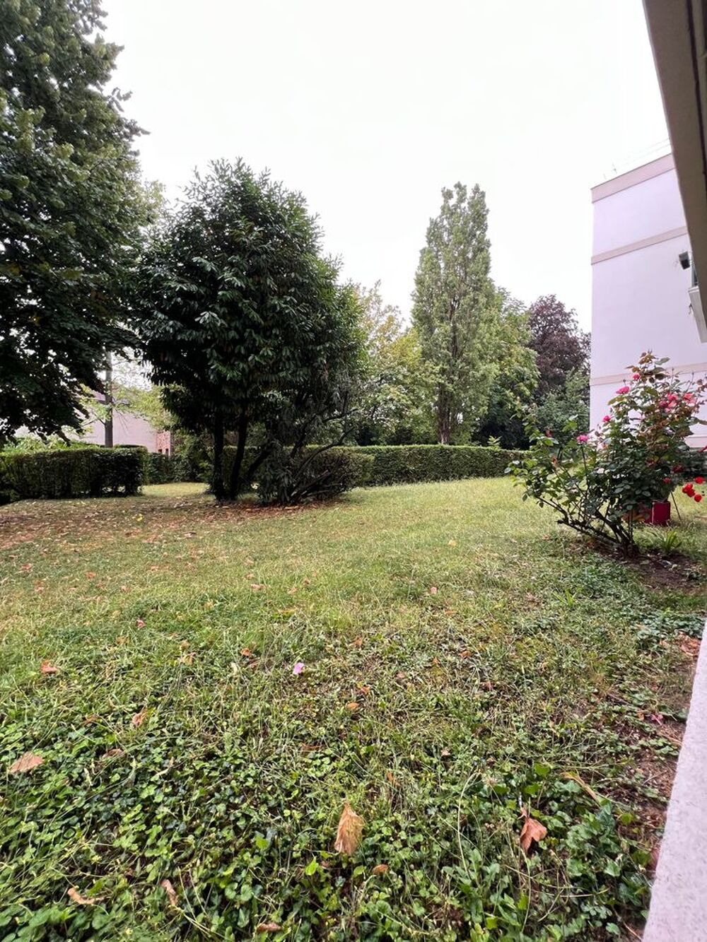 Location Appartement STUDIO SUR VERDURE Saint-cloud