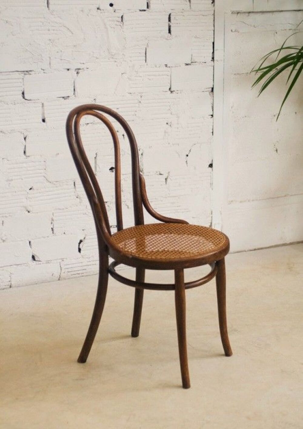 Chaise Thonet Meubles