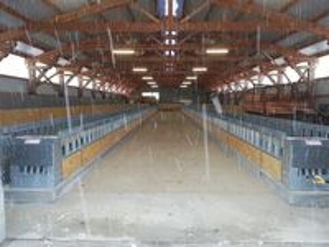   tapis alimentation ovins  