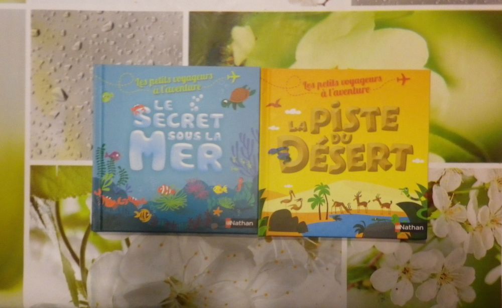 LOT DE 4 LES PETITS VOYAGEURS A L'AVENTURE NATHAN Livres et BD