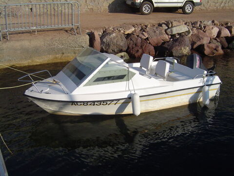 Bateaux &agrave; moteur P&ecirc;che-promenade 1992 occasion Ville-d'Avray 92410