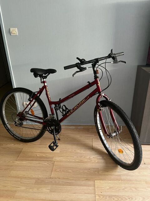 Vélo vintage Lejeune rouge bordeaux Villeurbanne (69)