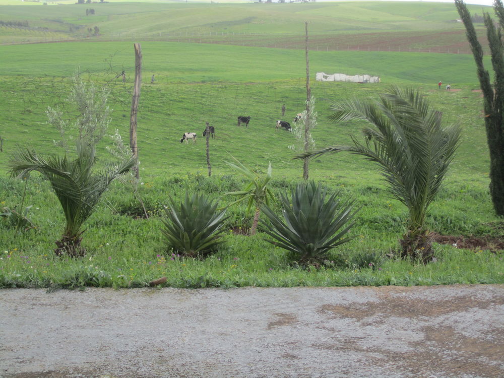 Vente Ferme une Ferme à Sidi Bettache au Maroc, Sidi bettache, maroc (Maroc)