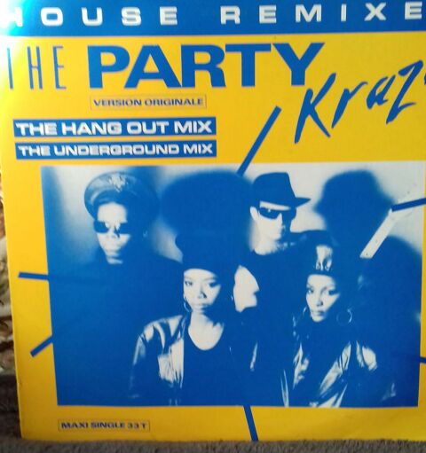 un vynile de house music 5 Brie-Comte-Robert (77)