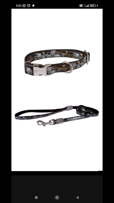 Collier laisse 10 59200 Tourcoing