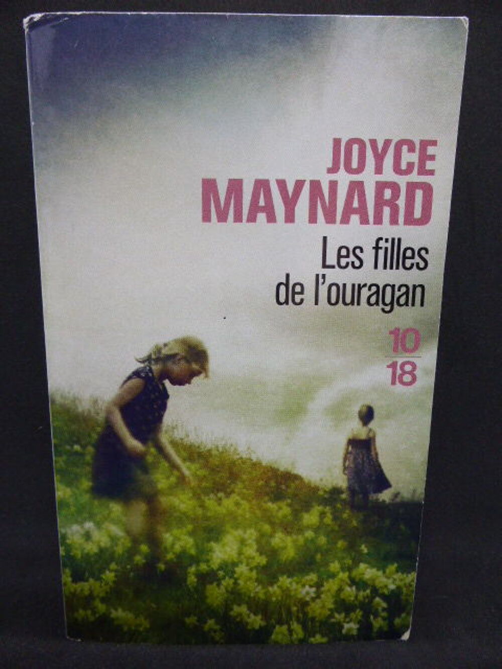Les filles de l'ouragan Joyce Maynard Livres et BD