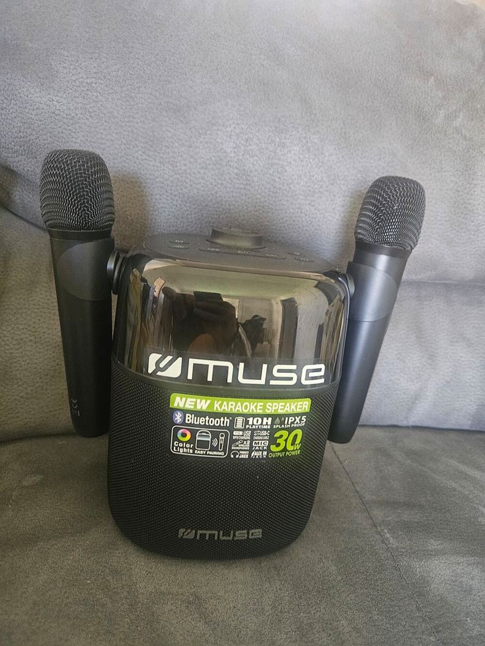 Karaoke avec 2 Micro Audio et hifi