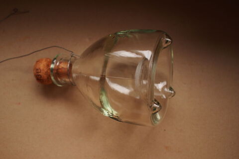 pi�ge � insectes en verre 9 Rennes (35)